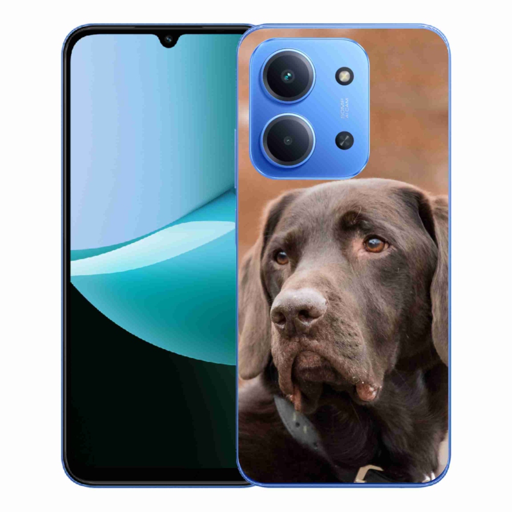 Gél borítás mmCase a Xiaomi Redmi 15C 4G/5G (173mm) - barna labradorhoz