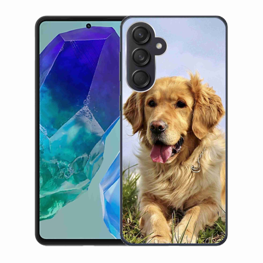 Gél tok mmCase a Samsung Galaxy M55 5G készülékhez - arany retriever