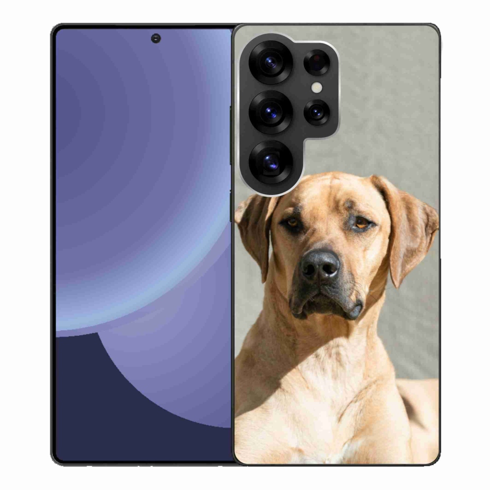 Zselés borítás mmCase Samsung Galaxy S25 Ultra készülékhez - ridgeback