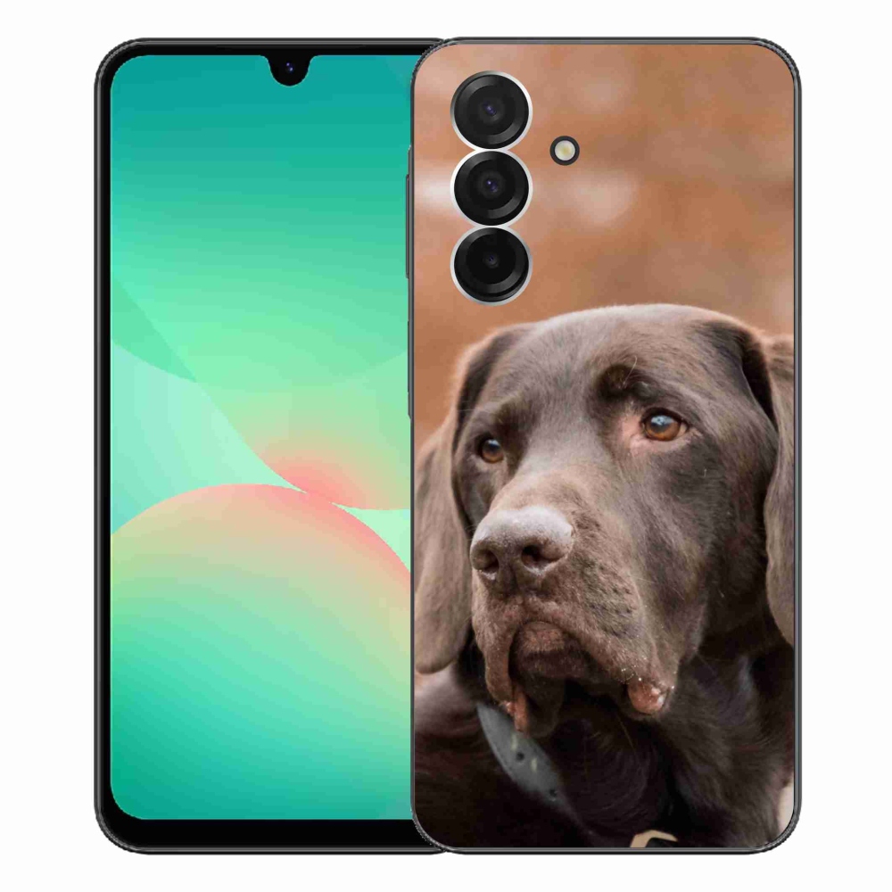 Zselés borítás mmCase Samsung Galaxy A26 5G - barna labrador