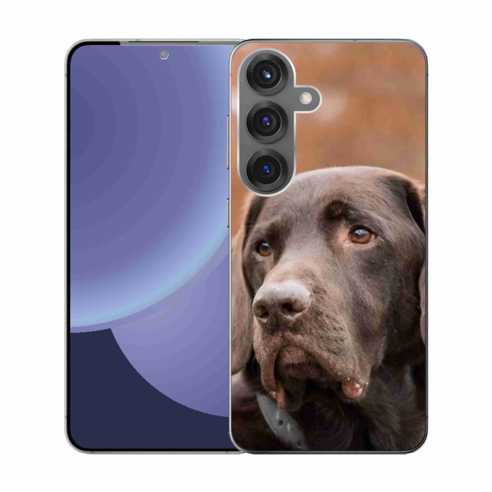 Zselés borítás mmCase Samsung Galaxy S25 készülékhez - barna labrador