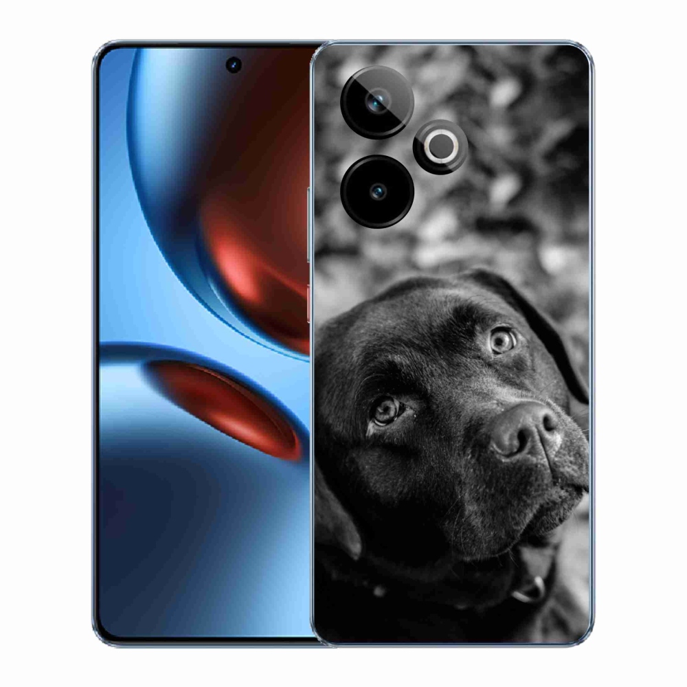 Rugalmas zselés tok mmCase képpel a Realme GT 7 5G/GT 7T 5G - labradorhoz