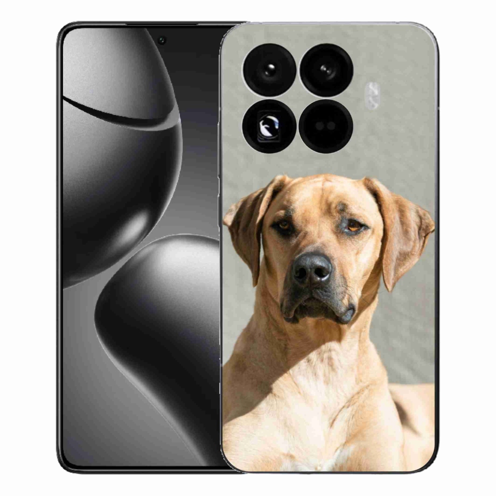 Gél borítás mmCase a Xiaomi 15T Pro számára - ridgeback