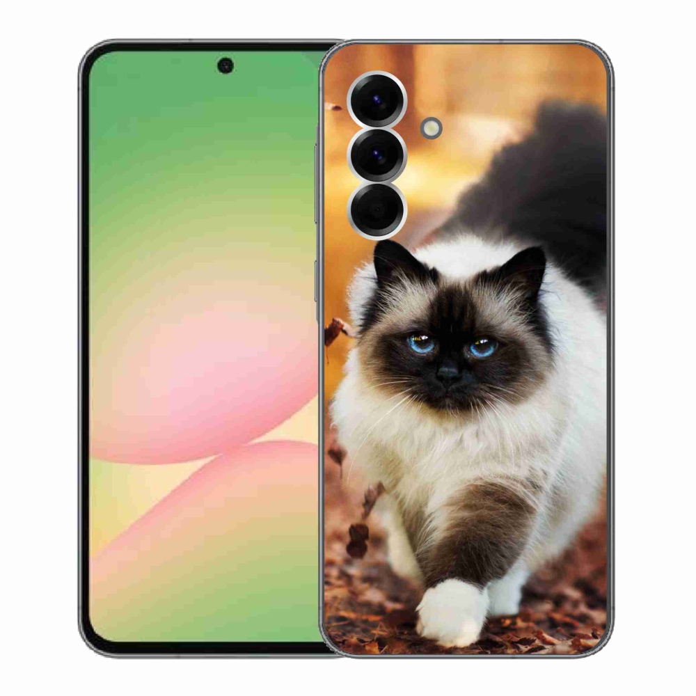 Zselés borítás mmCase Samsung Galaxy A56 5G - macska