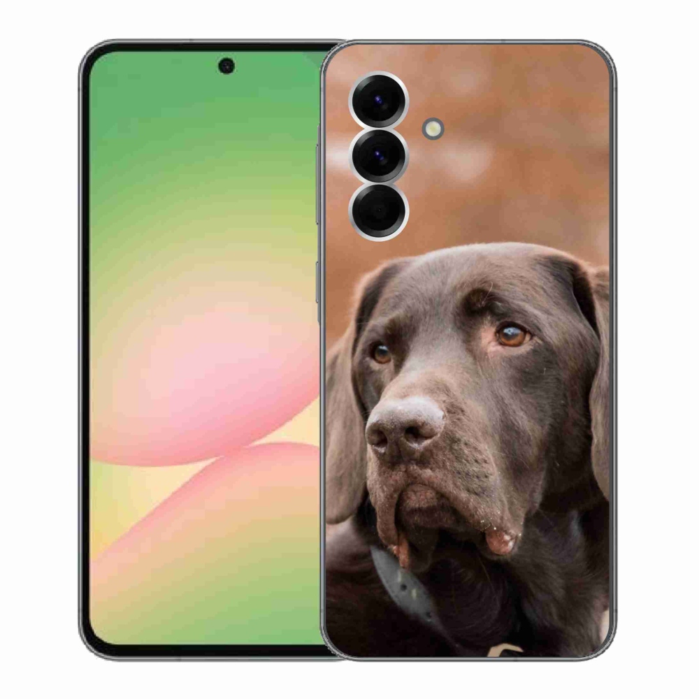 Gél védőhuzat mmCase Samsung Galaxy A56 5G - barna labrador