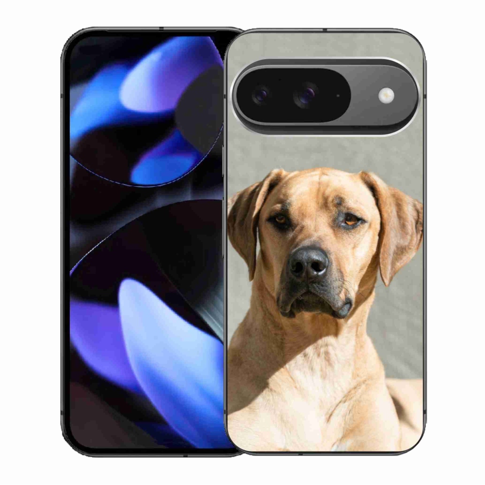 Gél borítás mmCase a Google Pixel 9/9 Pro számára - ridgeback