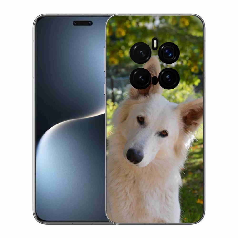 Gél borítás mmCase a Honor Magic 7 Pro 5G számára - Fehér svájci juhász 1