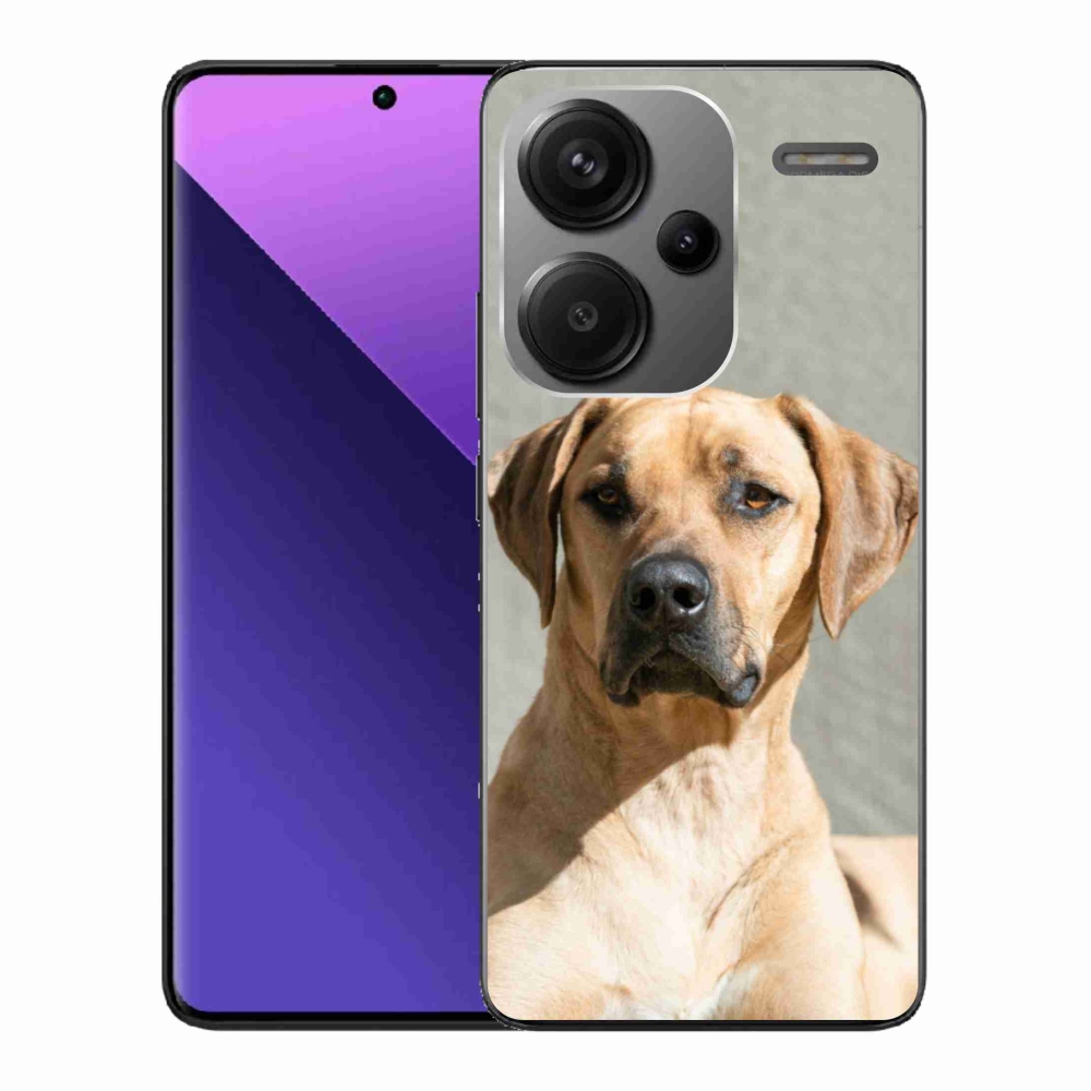 Gél borítás mmCase a Xiaomi Redmi Note 13 Pro+ 5G számára - ridgeback