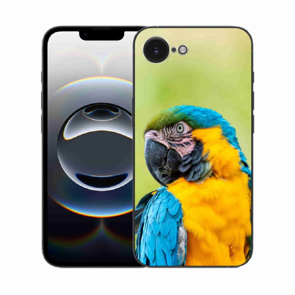 Zselés borítás mmCase iPhone 16e készülékhez - papagáj ara 2