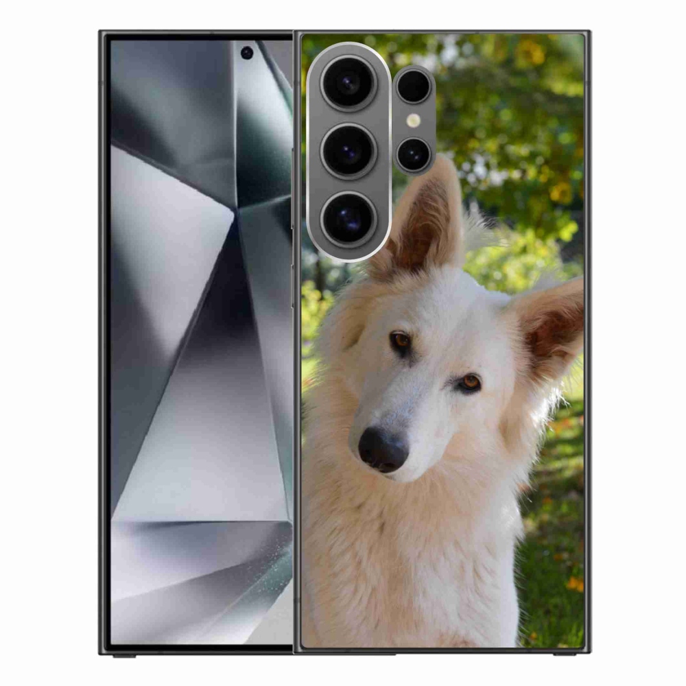 Gél borítás mmCase Samsung Galaxy S24 Ultra - Fehér svájci juhász 1
