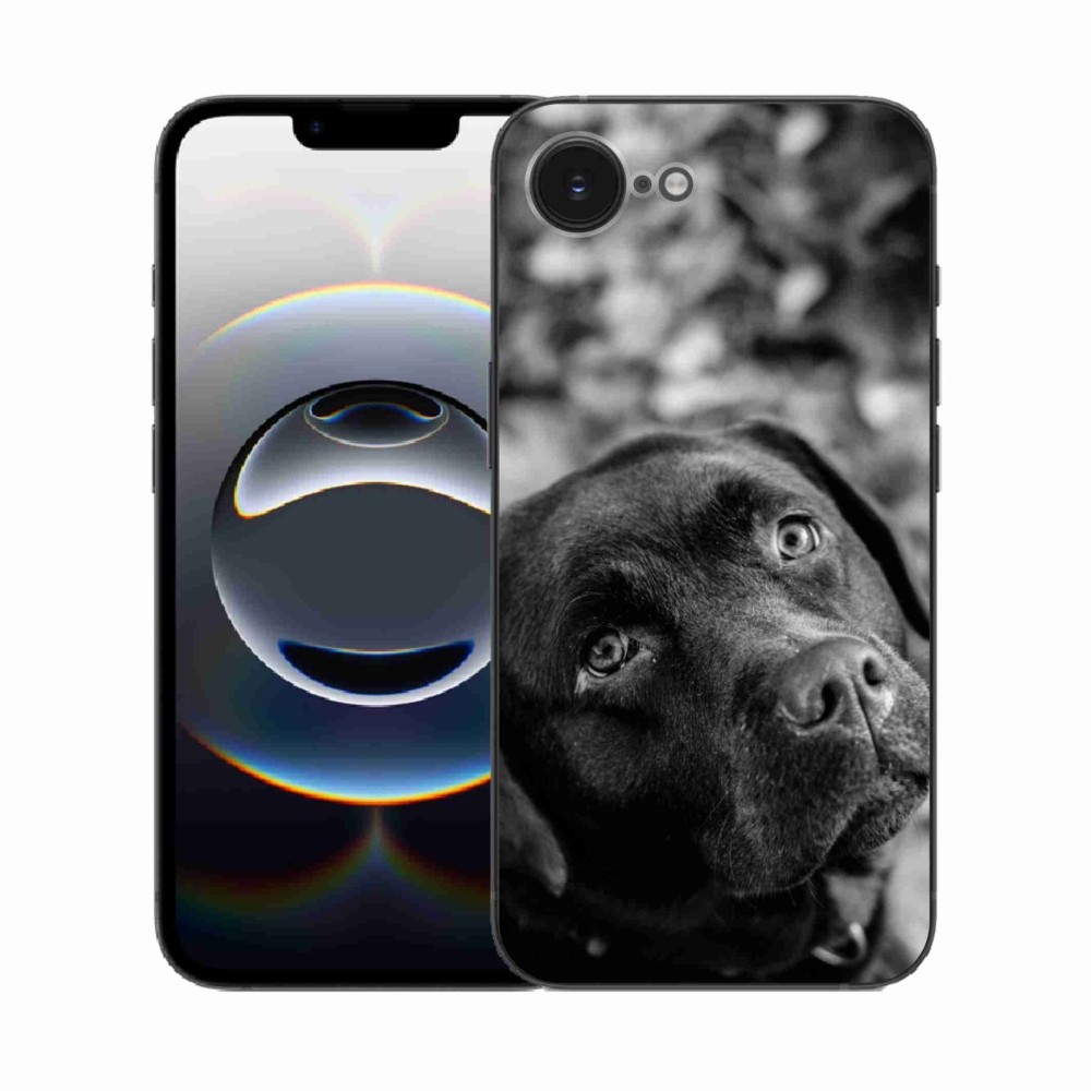 Zselés borítás mmCase iPhone 16e készülékhez - labrador