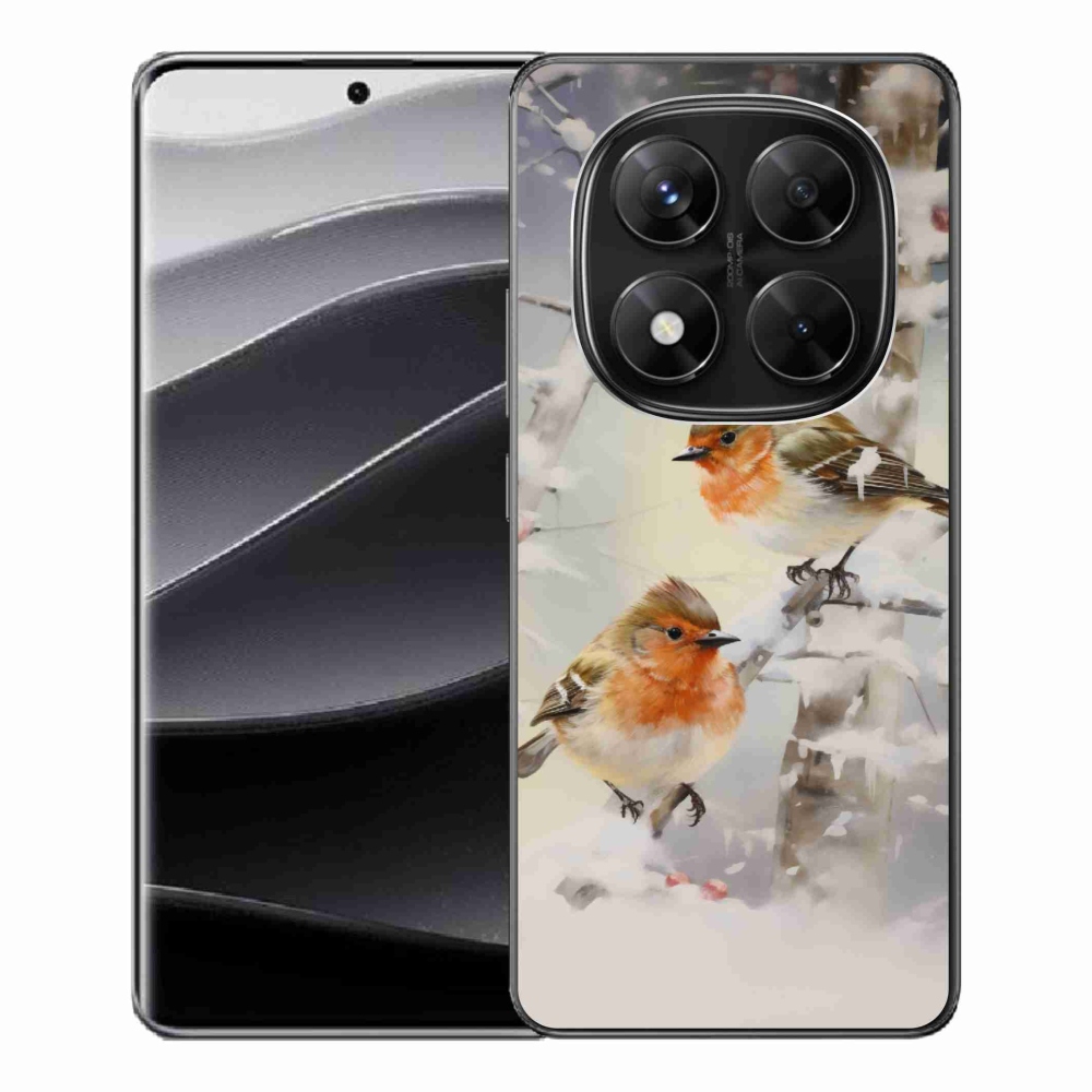 Gél borítás mmCase a Xiaomi Redmi Note 14 Pro 5G/Poco X7 5G számára - madarak télen