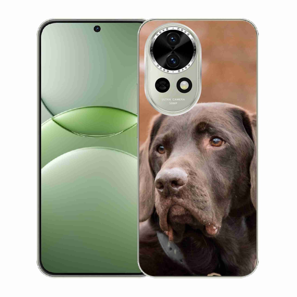 Gél borítás mmCase a Huawei Nova 13 5G készülékhez - barna labrador
