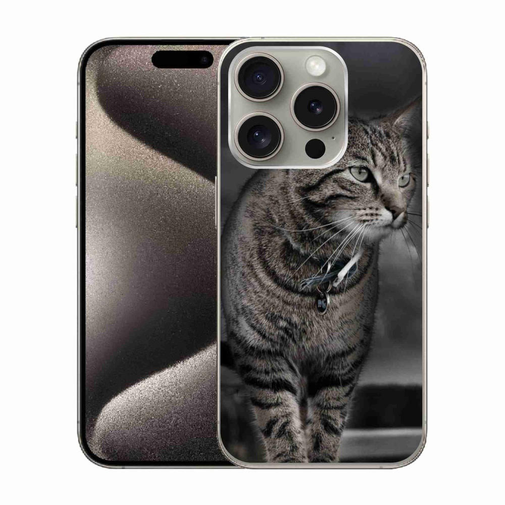 Zselés borítás mmCase iPhone 15 Pro készülékhez - macska