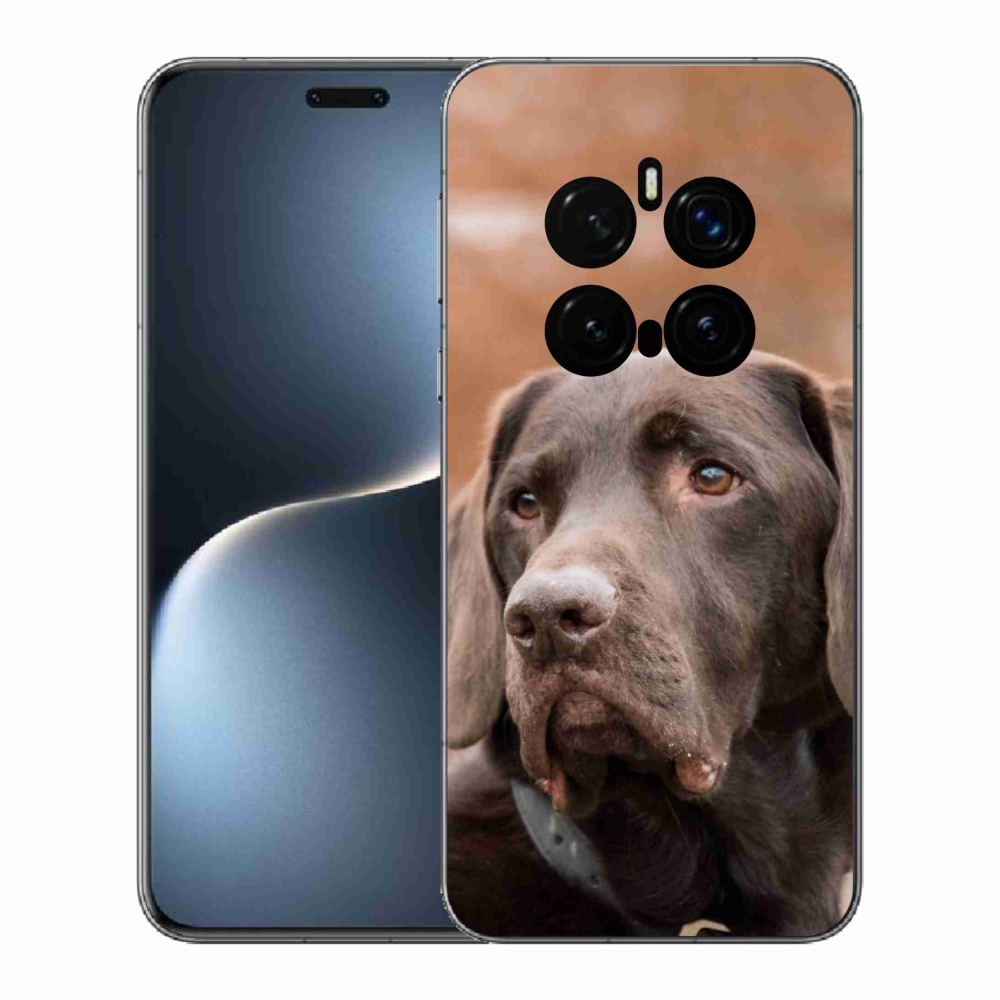 Gél borítás mmCase a Honor Magic 7 Pro 5G készülékhez - barna labrador