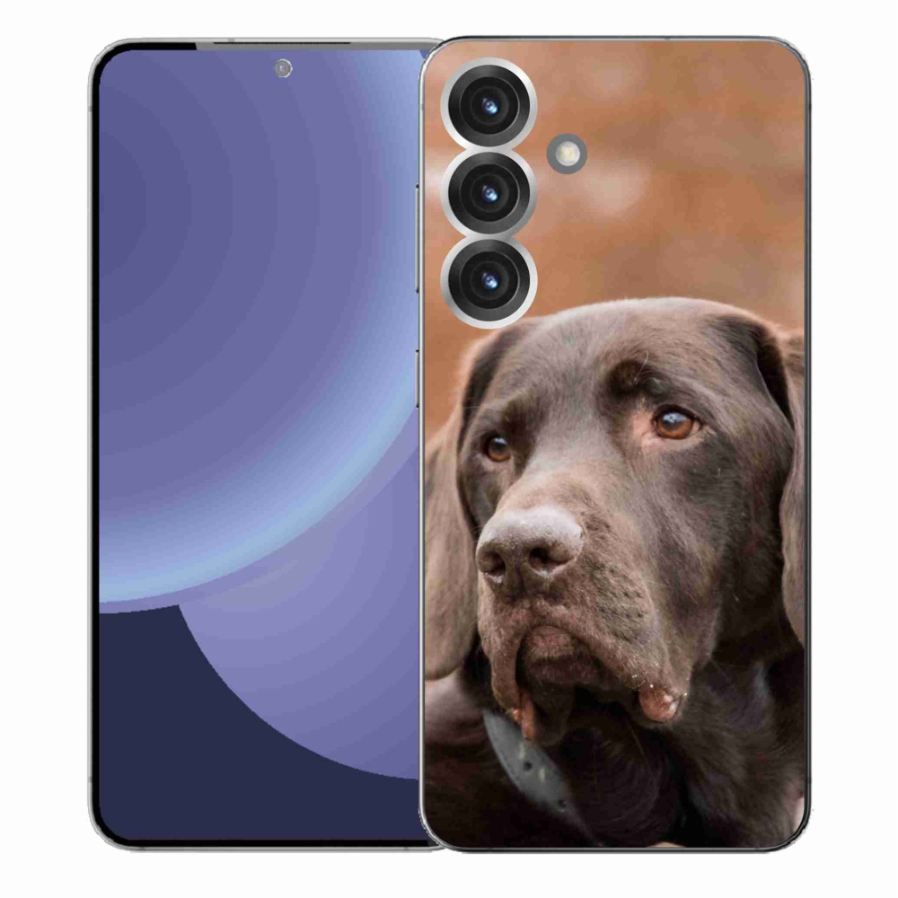 Gél védőhuzat mmCase Samsung Galaxy S25+ - barna labrador