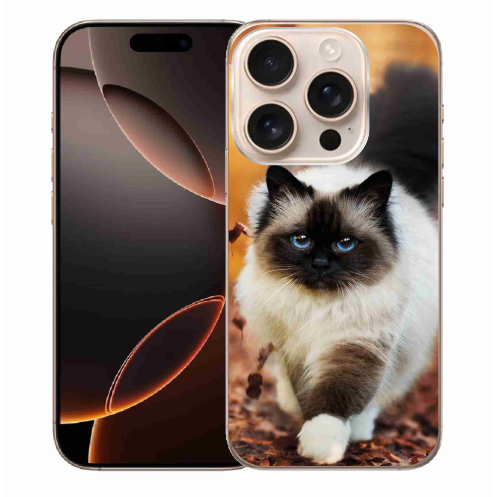 Gél tok mmCase iPhone 16 Pro Max készülékhez - macska