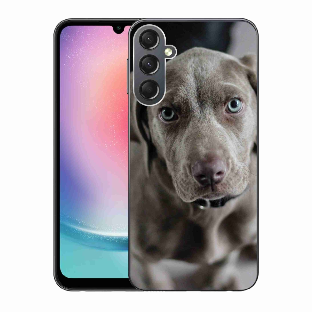 Gél tok mmCase Samsung Galaxy A24 készülékhez - Weimaraner