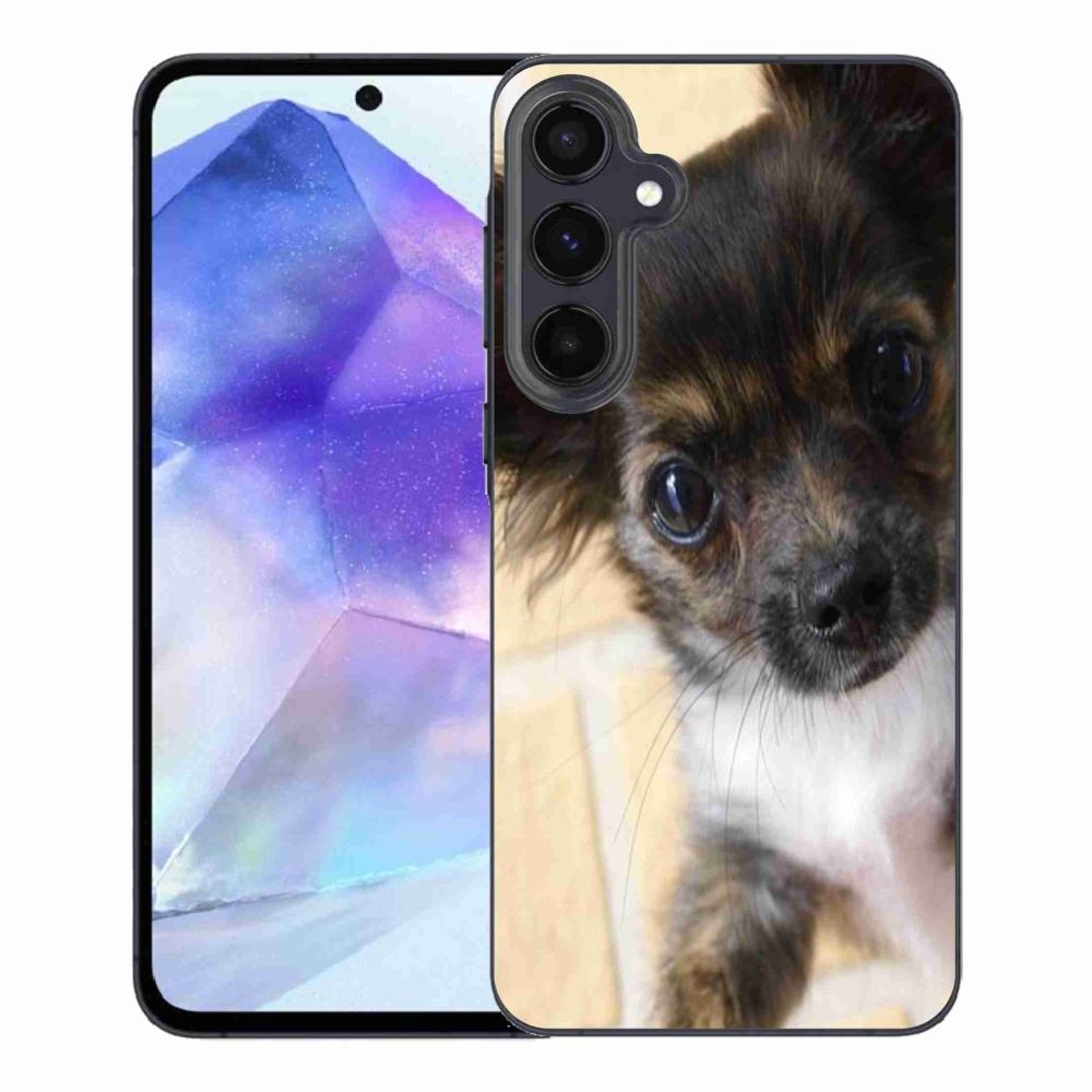 Gél tok mmCase Samsung Galaxy A55 5G - chihuahua 2