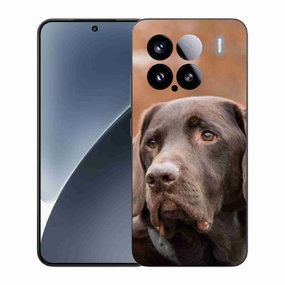 Gél borítás mmCase a Xiaomi 15-öshöz - barna labrador