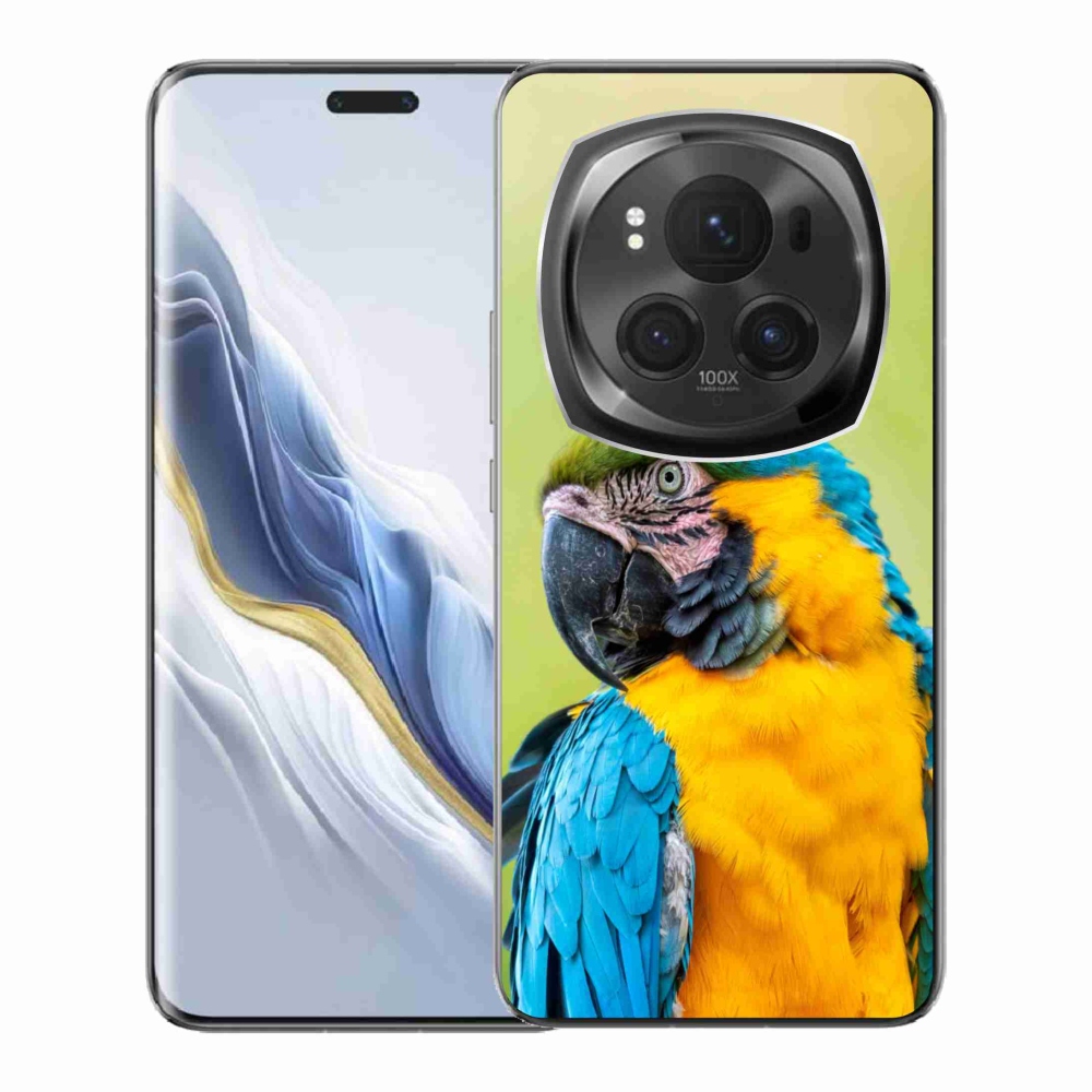 Gél tok mmCase a Honor Magic 6 Pro 5G készülékhez - papagáj ara 2