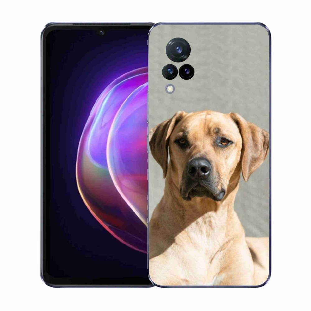 Gél borítás mmCase a Vivo V21 4G/5G készülékhez - ridgeback