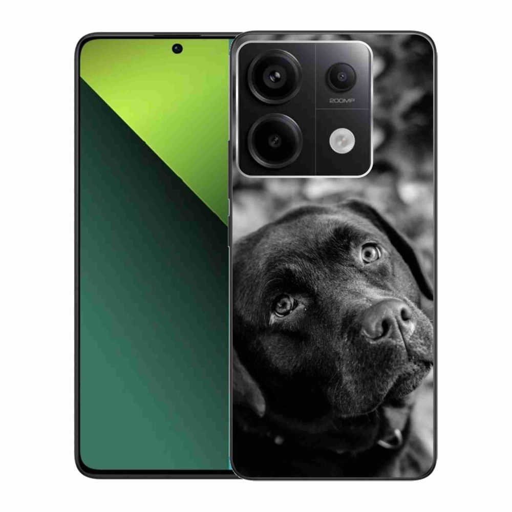 Gél tok mmCase a Xiaomi Redmi Note 13 Pro 5G/Poco X6 5G számára - labrador színű