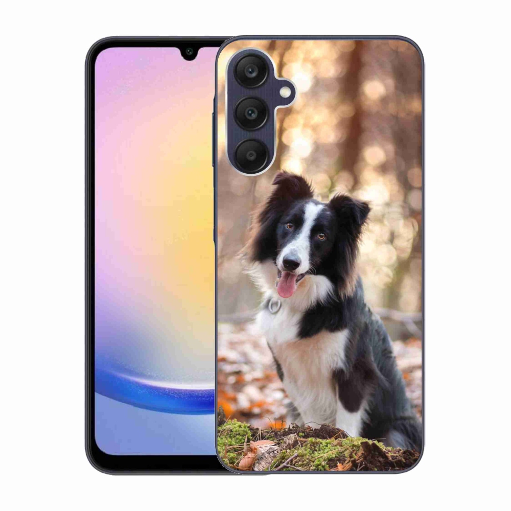 Gél tok mmCase Samsung Galaxy A25 5G - border colie 1