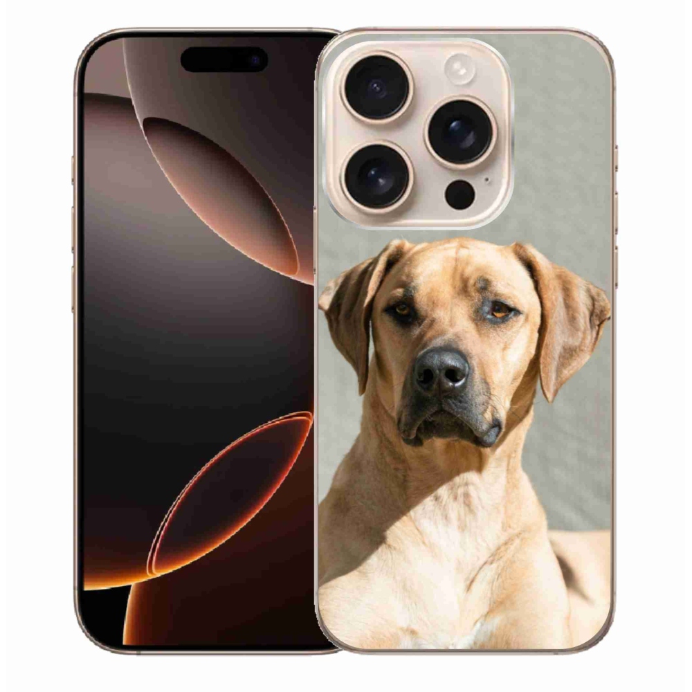Zselés borítás mmCase iPhone 16 Pro Max készülékhez - ridgeback