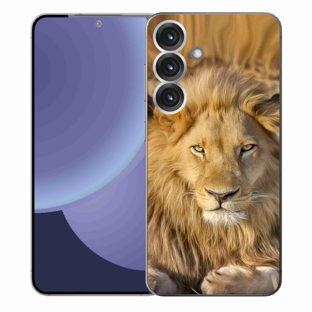 Gél védőburkolat mmCase Samsung Galaxy S25+ - Lion 2
