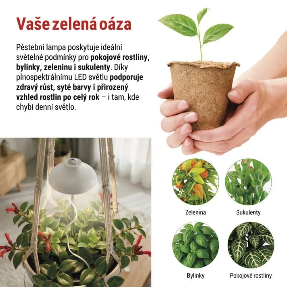 LED GROW termesztőlámpa 5 W, időzítővel - fehér