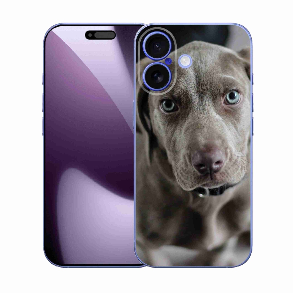 Zselés borítás mmCase iPhone 17 készülékhez - Weimaraner