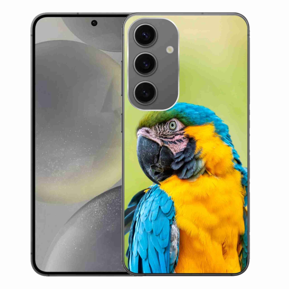 Gél tok mmCase Samsung Galaxy S24+ készülékhez - papagáj ara 2