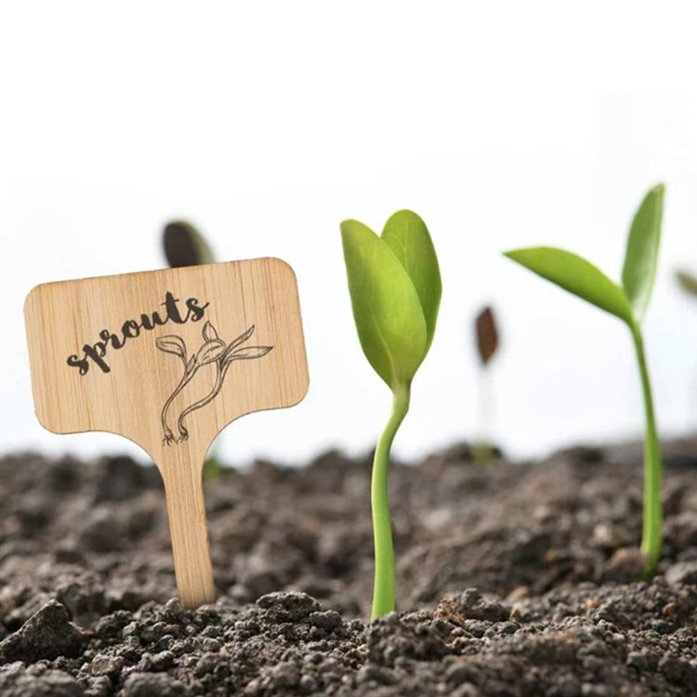 10 db-os fa névcímkekészlet kerti növényekhez