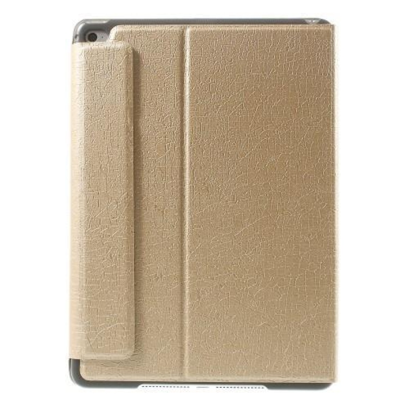 Luxus PU bőr tok textúrával iPad Air 2 készülékhez - pezsgő színű