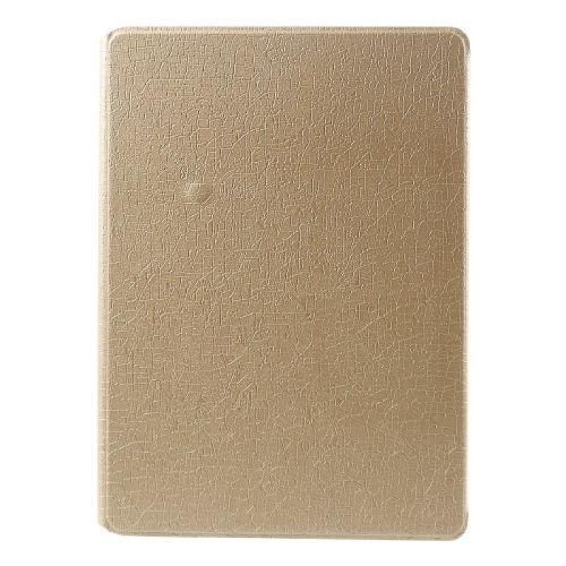 Luxus PU bőr tok textúrával iPad Air 2 készülékhez - pezsgő színű