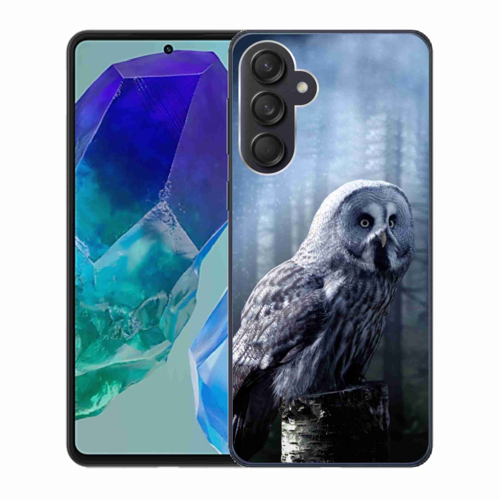 Zselés borítás mmCase Samsung Galaxy M55 5G - bagoly