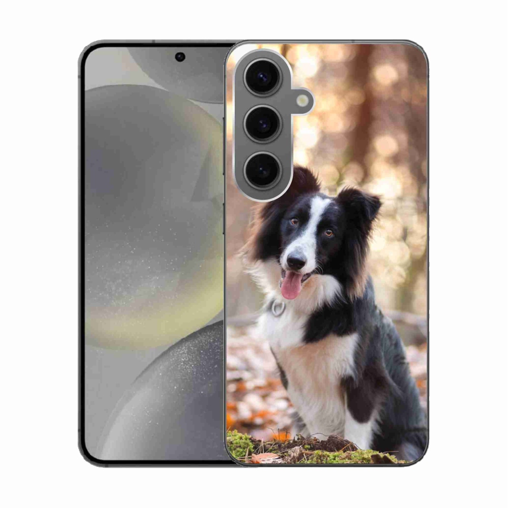 Gél tok mmCase a Samsung Galaxy S24 készülékhez - border colie 1