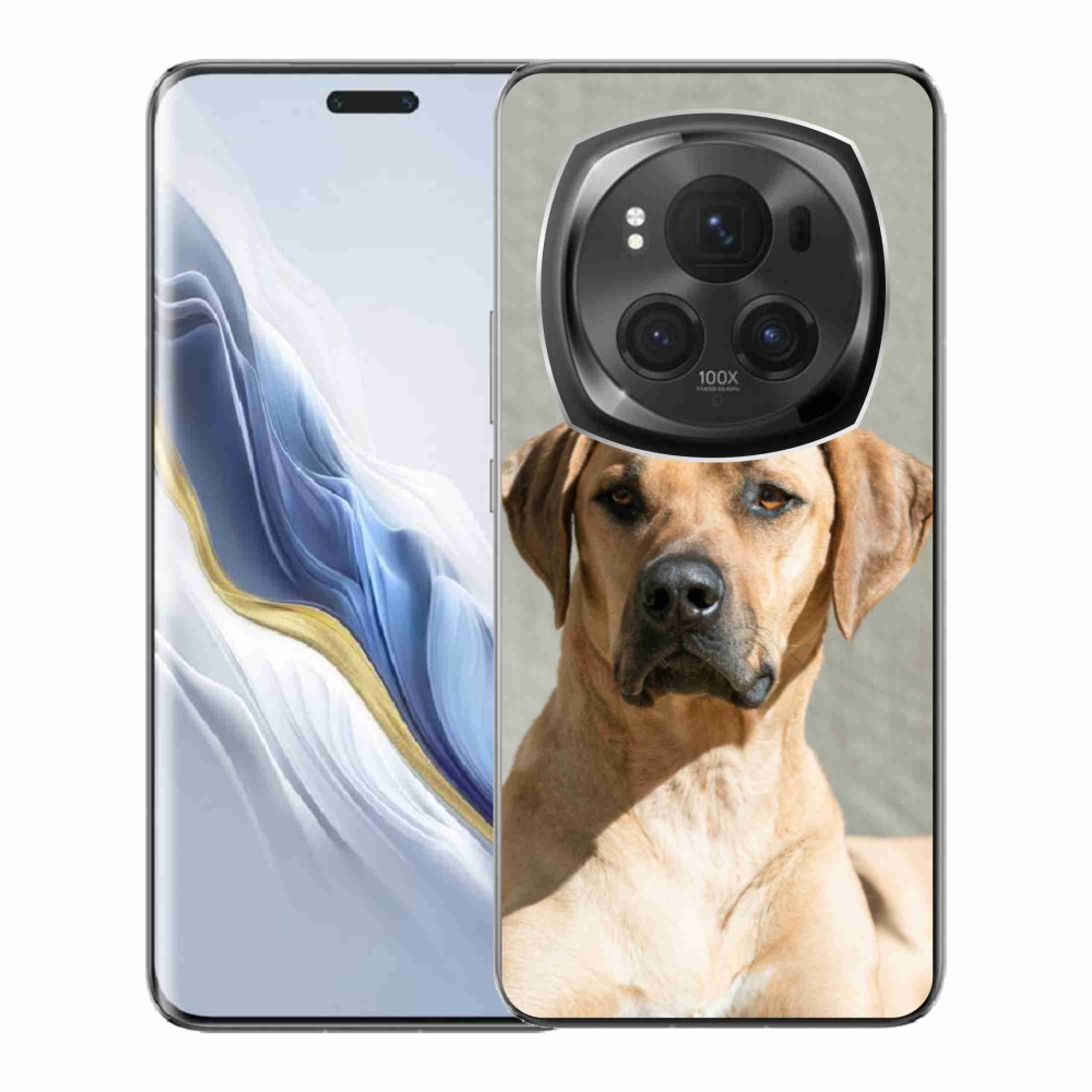 Gél borítás mmCase a Honor Magic 6 Pro 5G készülékhez - ridgeback