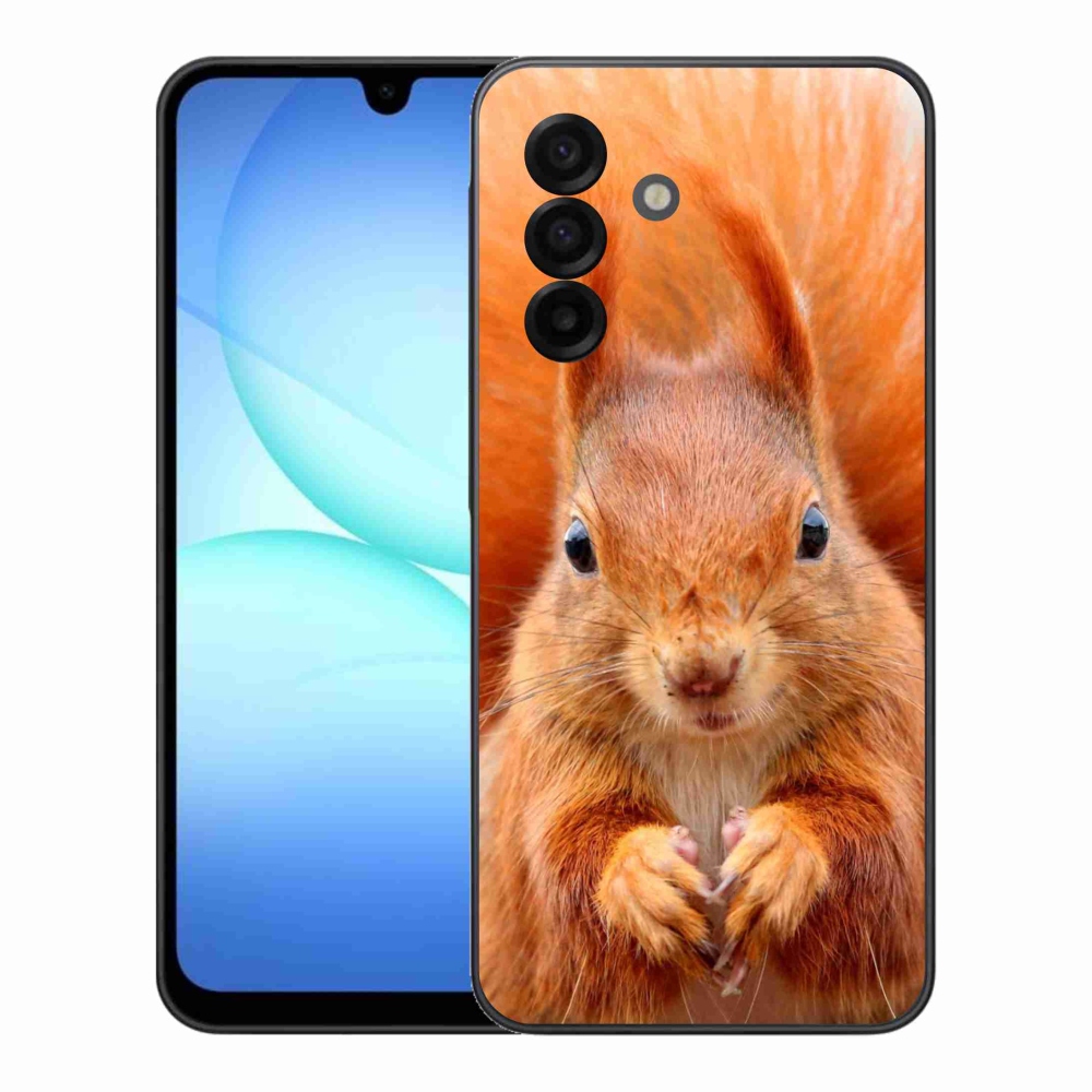 Zselés borítás mmCase Samsung Galaxy A17 4G/5G - mókus