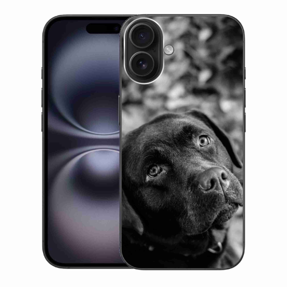 Gél tok mmCase iPhone 16 Plus készülékhez - labrador