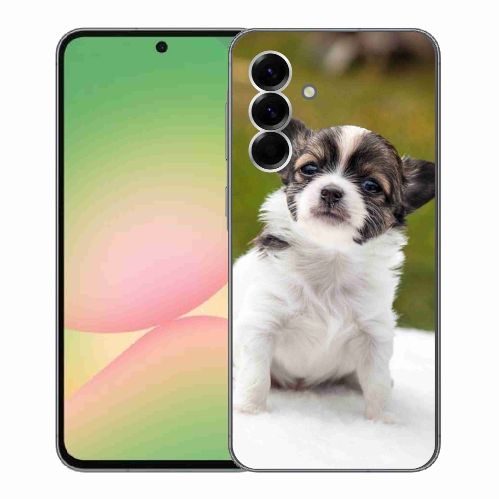 Gél borítás mmCase Samsung Galaxy A56 5G - chihuahua 4