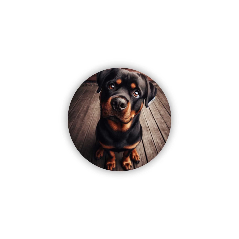 65x65mm-es kör alakú mágnes - aranyos rottweiler