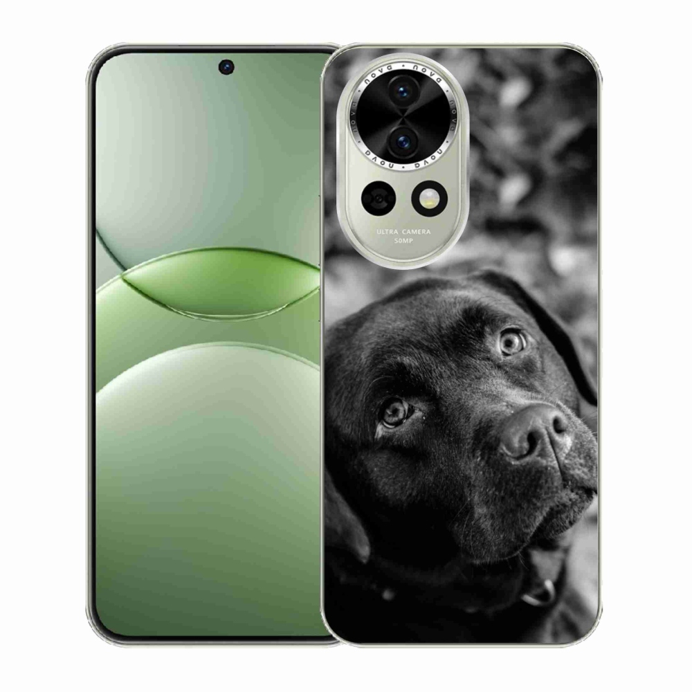 Gél borítás mmCase a Huawei Nova 13 5G készülékhez - labrador