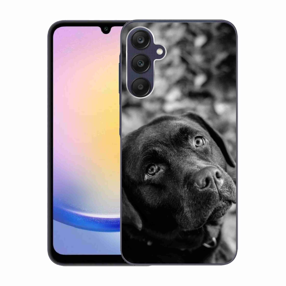 Gél tok mmCase a Samsung Galaxy A25 5G készülékhez - labrador színű