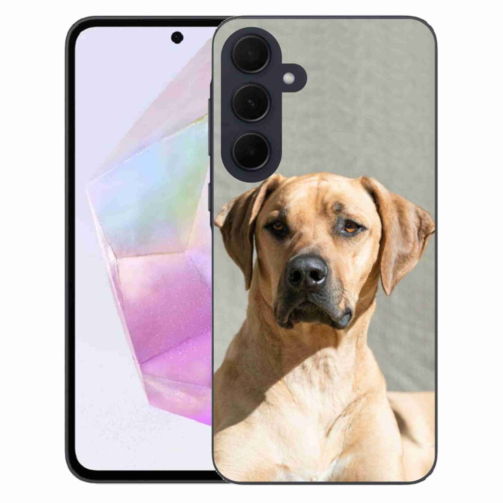 Gél védőhuzat mmCase Samsung Galaxy A35 5G - ridgeback