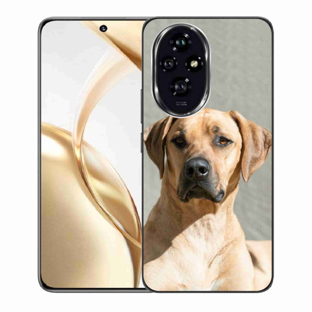 Zselés borítás mmCase a Honor 200 5G készülékhez - ridgeback