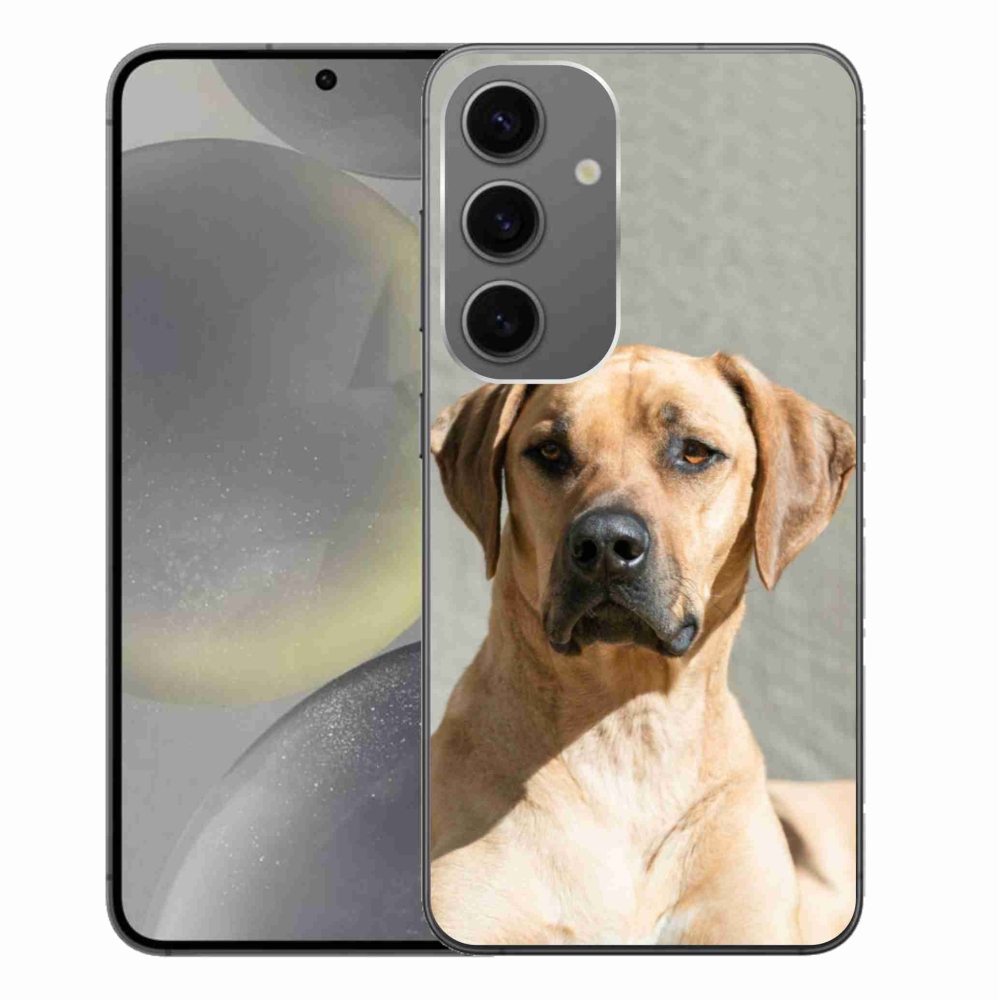 Zselés borítás mmCase Samsung Galaxy S24+ készülékhez - ridgeback