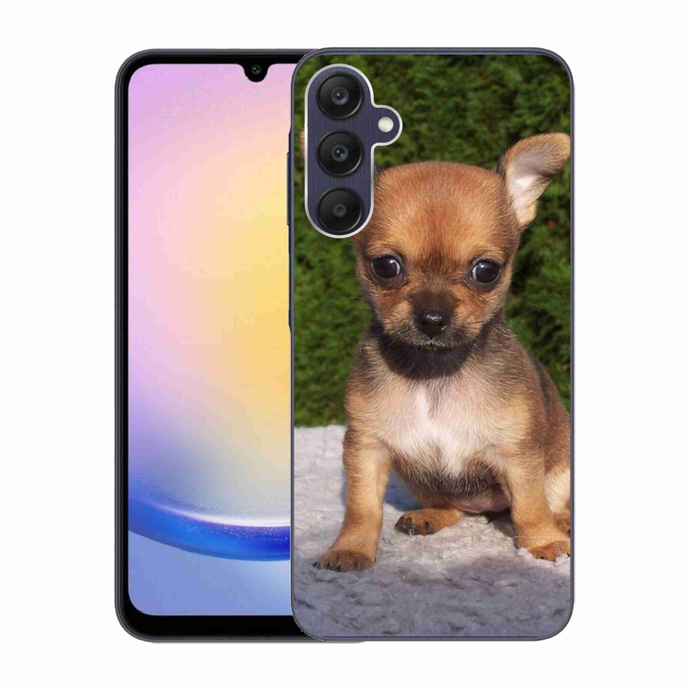 Gél tok mmCase Samsung Galaxy A25 5G - chihuahua 3