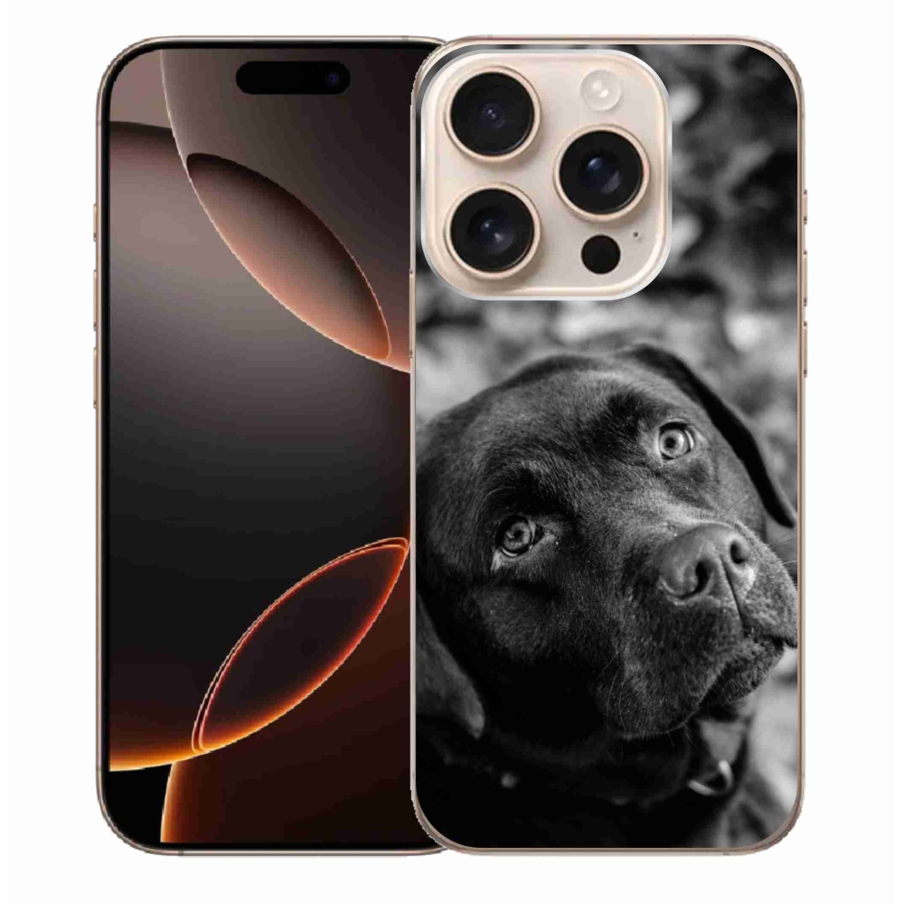 Gél tok mmCase iPhone 16 Pro Max készülékhez - labrador